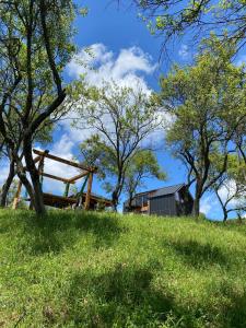 una casa en la cima de una colina con árboles en EleS Chalet, en Brebu
