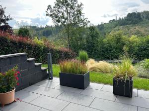 a garden with three potted plants on a patio at Ferienwohnung Bergische Auszeit in Gummersbach