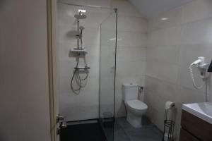 baño con ducha, aseo y puerta de cristal en Bujorul Oltului, en Călimăneşti