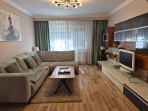 a living room with a couch and a tv at City Inn Premium Apartment in Timişoara