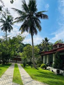 a palm tree in front of a house at The Garden Grove Villa in Yatiyana