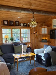 a living room with a blue couch and a table at Mysig timmerstuga med sjötomt in Grangärde