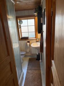 a small bathroom with a toilet and a sink at Mysig timmerstuga vid sjön Björken in Grangärde +17 photos
