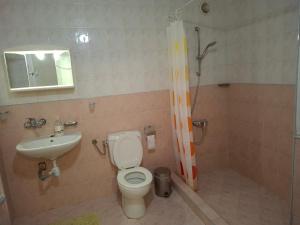 Un baño con inodoro, lavabo y ducha. en Къща за гости У Нико, en Orehovo
