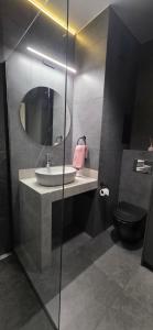 een badkamer met een wastafel en een spiegel en een toilet bij Apartament Jaguar in Bydgoszcz +12 foto's