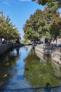 a river with trees on the side of it at Studio5 proche Quai Rouget in LʼIsle-sur-la-Sorgue +8 photos