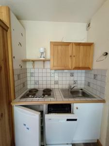 une petite cuisine avec une cuisinière et un évier dans l'établissement Les Arolles, à La Norma