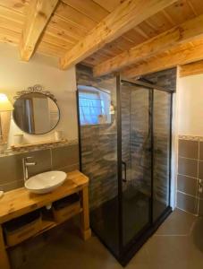 een badkamer met een douche met wastafel en spiegel bij Chalet Odeillo Font-Romeu-Odeillo-Via in Font Romeu Odeillo Via