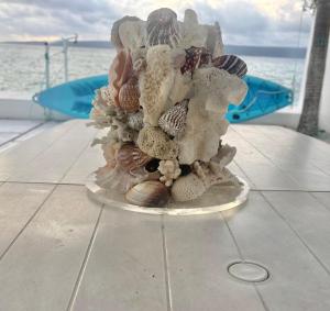 a plate with a bunch of stuffed animals on a table at Casa Di george in Port Vila