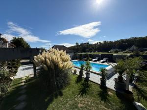 a backyard with a swimming pool and palm trees at Lahn-Paradies 
