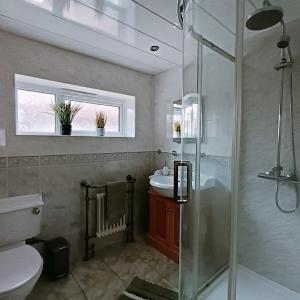 ein Badezimmer mit Dusche, Toilette und Waschbecken in der Unterkunft Geneva Cottage - close to Darlington train station in Darlington