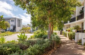 a tree in the middle of a sidewalk in front of a building at Upscale neighbourhood guest quarters in Perth