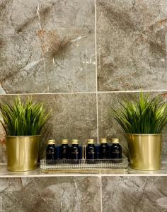 a shelf with a bunch of bottles and plants at Apartament OMEGA in Nysa