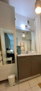 a bathroom with a sink and a toilet and a mirror at Vue exceptionnelle sur les Tours ! Charme et tranquillité in La Rochelle