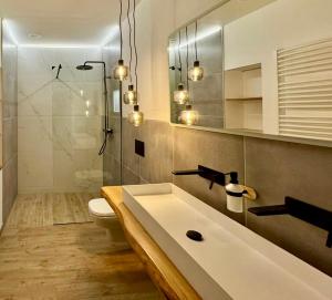 a bathroom with a sink and a shower and a toilet at FeWo im Chalet Style mit Kamin und Wärmekabine in Geyer