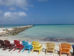 Φωτογραφία από το άλμπουμ του Divi Aruba Phoenix Resort στο Παλμ Μπιτς +18 φωτογραφίες