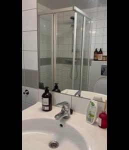 a bathroom with a sink and a mirror at 2BR Luxury Apt in Ringnes Park Oslo City Center in Oslo
