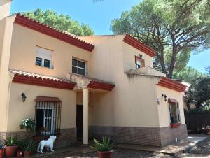 Ein Hund steht vor einem Haus in der Unterkunft WOWHOLIDAYS La Juliana de Sevilla in Bollullos de la Mitación