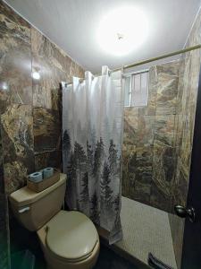 a bathroom with a toilet and a shower curtain at El Depa de Johan - Estadio in Ciudad Madero