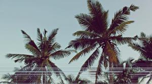 two palm trees in front of a building at Surf Dine in Matara