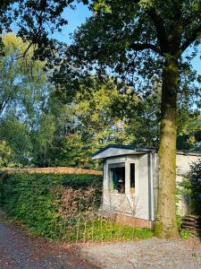a small shed sitting next to a tree at Nature Escape Veluwe Chalet in Putten