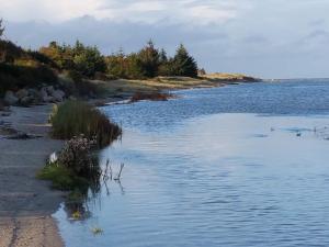 a body of water with some grass and trees at 8 person holiday home in Storvorde-By Traum in Storvorde