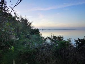a view of a body of water with bushes at 6 person holiday home in Ulfborg in Ulfborg