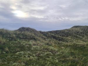 Gallery image of Spacious Retreat with Spa - By Traum Ferienwohnungen in Øby