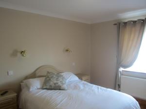 1 dormitorio con cama con almohada en Cuil Darach, en Clones