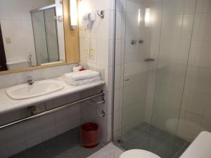 a bathroom with a shower and a sink and a toilet at ibis Maceio Pajuçara in Maceió +102 photos