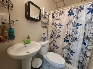 a bathroom with a sink and a toilet and a shower curtain at Casa Lilia Airport in Panama City +85 photos