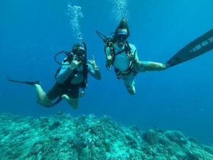 two people are scuba diving in the ocean at Villa Semoga in Paloh