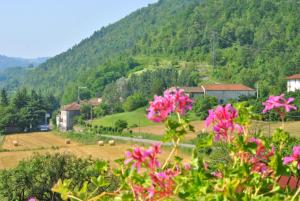 Zdjęcie z galerii obiektu B&B Le Coccinelle w mieście Torre Bormida