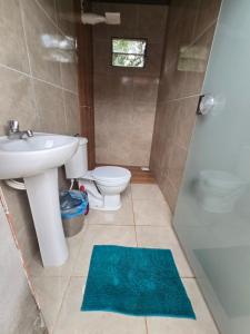 a bathroom with a sink and a toilet and a shower at Casa Sítio in Rio Verde +11 photos