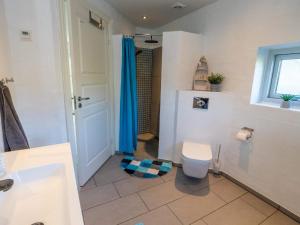 Pugdalにある4 star holiday home in Hanstholmのバスルーム(トイレ、青いシャワーカーテン付) +14枚の写真