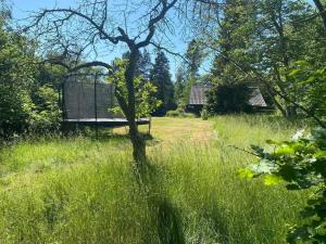 Gallery image of 5 star holiday home in Melby in Melby