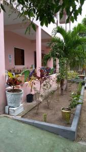 a group of potted plants in front of a building at Pousadinha Mangabeiras II in São Mateus +15 photos