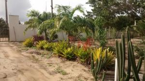 a garden with palm trees and plants on a dirt road at Pousadinha Mangabeiras II in São Mateus