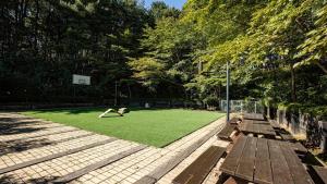 a person is playing basketball on a field of grass at Glamdog Dog Pension Cheongpyeong Branch in Gapyeong