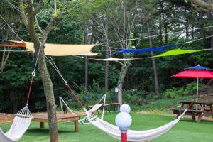 2 hamacs attachés à un arbre dans un parc dans l'établissement Seosan Pet Glamping Pension Pet N Tree, à Ch'ŏngsal-li