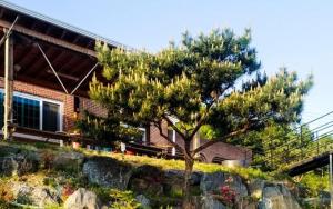 Κήπος έξω από το Choongju Garden Arirang Pension