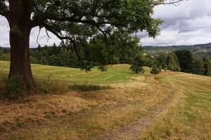 Fotografie z fotogalerie ubytování Penzion HANA v destinaci Albrechtice v Jizerských horách