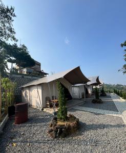 a tent with a tree in a gravel yard at Royal Mulia by MaPan atroomS in Cigugur