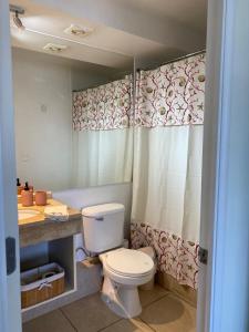 a bathroom with a toilet and a shower curtain at Disfruta en Familia! in Algarrobo