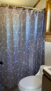 Ένα μπάνιο στο Tiny House Ranco Lauken +19 φωτογραφίες