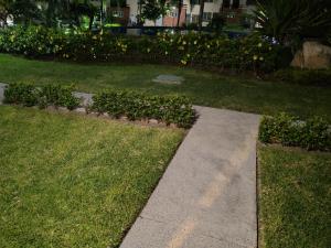 Κήπος έξω από το Casa RyE