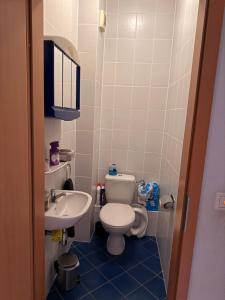 a small bathroom with a toilet and a sink at chambre triplo in Differdange +1 photo