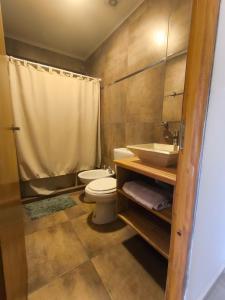 a bathroom with a toilet and a sink at Los Aromos in Federación +34 photos
