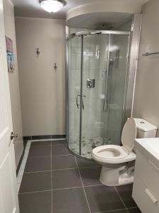 a bathroom with a glass shower and a toilet at Cozy & private apartment outside the city center in Hampstead