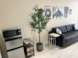 a living room with a couch and a potted plant at Cozy & private apartment outside the city center in Hampstead